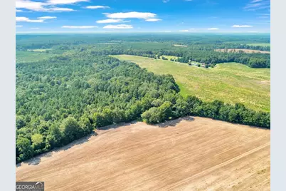 356 Massey-Doss, Keysville, GA 30816 - Photo 8