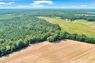 356 Massey-Doss, Keysville, GA 30816 - Photo 8