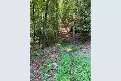0 Tuckaway Lane, Clayton, GA 30525 - Photo 8