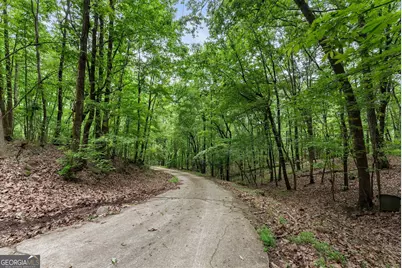 0 Long Mountain Road, Cleveland, GA 30528 - Photo 4