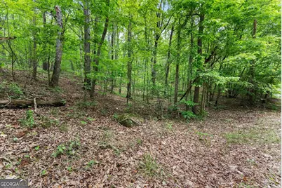 0 Long Mountain Road, Cleveland, GA 30528 - Photo 2