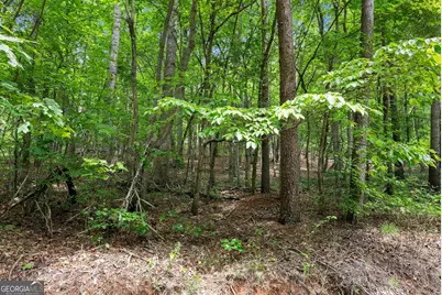 0 Long Mountain Road, Cleveland, GA 30528 - Photo 6