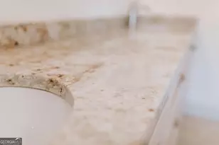 2985 Jackson Bridge Rd, Carnesville, GA 30521 - Photo 22