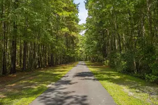 392 Mossy Oak Trail, Waverly, GA 31565 - Photo 52