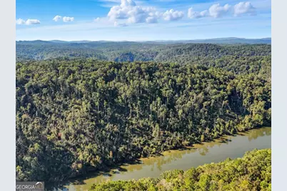 650 Myna Drive #986, Ellijay, GA 30540 - Photo 54