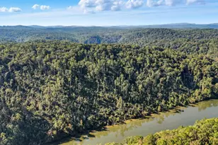 650 Myna Dr, Ellijay, GA 30540 - Photo 54