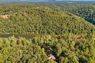 650 Myna Dr, Ellijay, GA 30540 - Photo 56