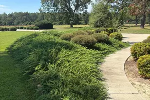 330 Warwick Hwy, Ashburn, GA 31714 - Photo 38