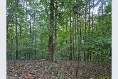 0 Old Goodie Mtn Road SE, Cartersville, GA 30120 - Photo 1