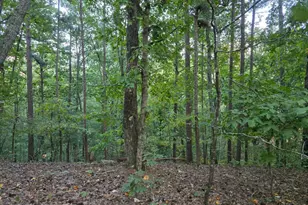 0 Old Goodie Mtn Road SE, Cartersville, GA 30120 - Photo 1