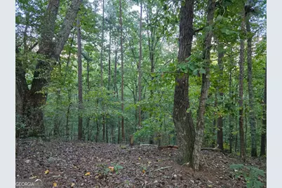 0 Old Goodie Mtn Road SE, Cartersville, GA 30120 - Photo 2