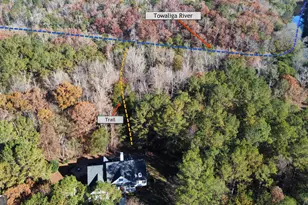 2489 Boxankle Rd, Forsyth, GA 31029 - Photo 58