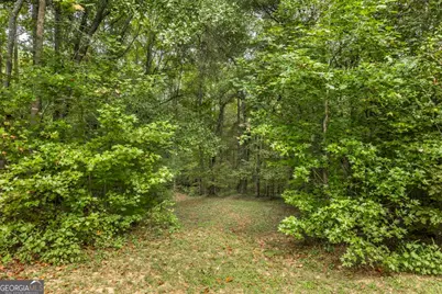 2489 Boxankle Road, Forsyth, GA 31029 - Photo 60