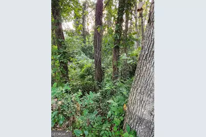 523 Spruce Drive, Pine Lake, GA 30072 - Photo 4