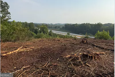 0 US Hwy 17, Martin, GA 30557 - Photo 6