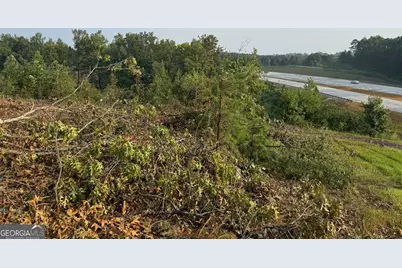 0 US Hwy 17, Martin, GA 30557 - Photo 4