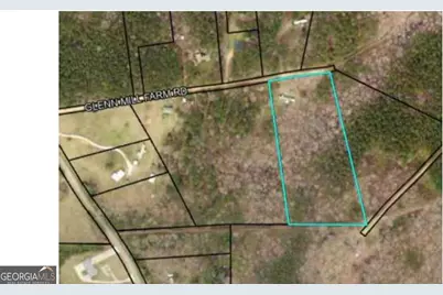 250 Glenn Mill Farms Road, Franklin, GA 30217 - Photo 2