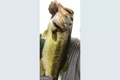 105 Waterford Court, Milledgeville, GA 31061 - Photo 2