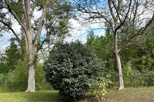 1860 Washington Hwy, Union Point, GA 30669 - Photo 24