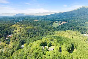 166 High Meadow Trail, Cleveland, GA 30528 - Photo 62