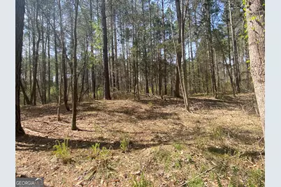 0 Highway 98, Homer, GA 30547 - Photo 44