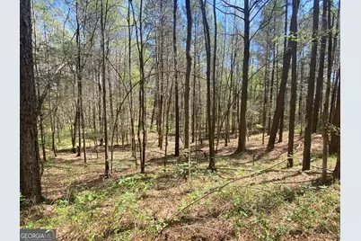 0 Highway 98, Homer, GA 30547 - Photo 16