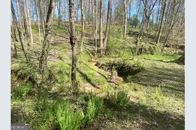 0 Highway 98, Homer, GA 30547 - Photo 2