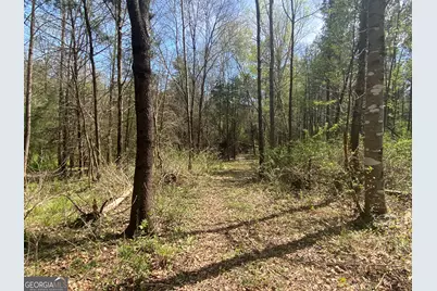 0 Highway 98, Homer, GA 30547 - Photo 40