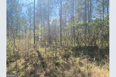 0 Highway 98, Homer, GA 30547 - Photo 20