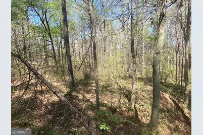 0 Highway 98, Homer, GA 30547 - Photo 12