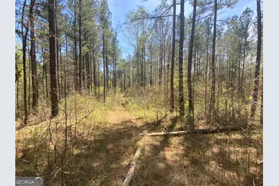 0 Highway 98, Homer, GA 30547 - Photo 18