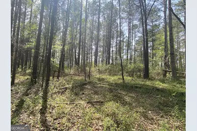 0 Highway 98, Homer, GA 30547 - Photo 38