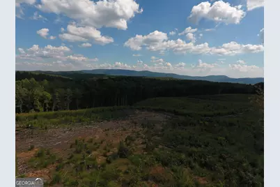 0 Johnson Mountain Road #7401-H, Rydal, GA 30171 - Photo 4