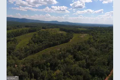 0 Johnson Mountain Road #7401-H, Rydal, GA 30171 - Photo 8