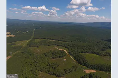 0 Johnson Mountain Road #7401-H, Rydal, GA 30171 - Photo 12