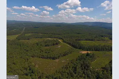 0 Johnson Mountain Road #7401-H, Rydal, GA 30171 - Photo 22