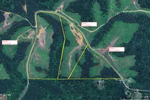 0 Johnson Mountain Rd, Rydal, GA 30171 - Photo 1