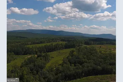 0 Johnson Mountain Road #7401-I, Rydal, GA 30171 - Photo 30