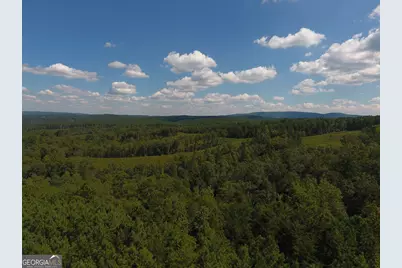 0 Johnson Mountain Road #7401-I, Rydal, GA 30171 - Photo 32