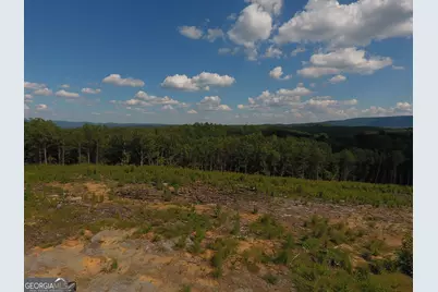 0 Johnson Mountain Road #7401-I, Rydal, GA 30171 - Photo 6