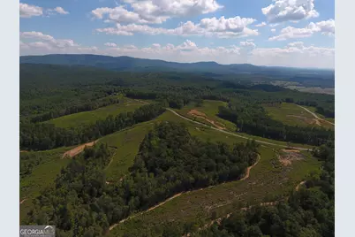 0 Johnson Mountain Road #7401-I, Rydal, GA 30171 - Photo 2