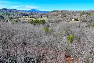 341 Abby Ln, Clayton, GA 30525 - Photo 140