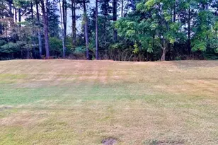 2840 Ellenwood Village Way, Ellenwood, GA 30294 - Photo 44