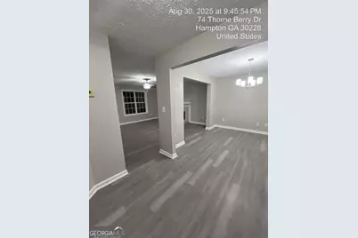 74 Thorne Berry Drive, Hampton, GA 30228 - Photo 14