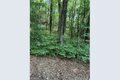 0 Maple Leaf Drive #TRACT 6, Dillard, GA 30537 - Photo 1