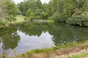 1386 441 Old Hist Hwy, Clarkesville, GA 30523 - Photo 110