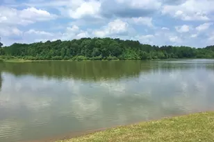 270 Emerald Lake Dr, Fayetteville, GA 30215 - Photo 68