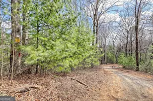 1068 Coleman River Rd, Clayton, GA 30525 - Photo 70