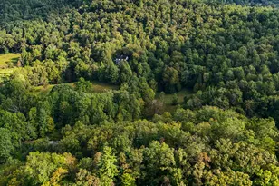 1068 Coleman River Rd, Clayton, GA 30525 - Photo 80