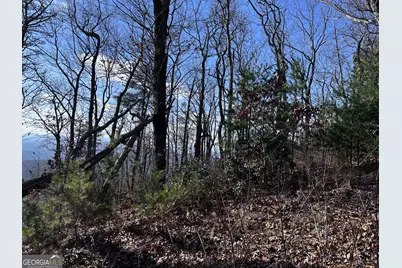 246 Andes Ridge, Jasper, GA 30143 - Photo 28